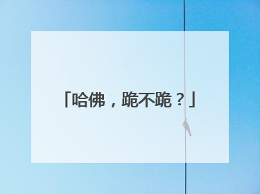 哈佛，跪不跪？