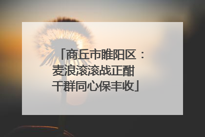 商丘市睢阳区：麦浪滚滚战正酣 干群同心保丰收