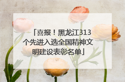 喜报！黑龙江313个先进入选全国精神文明建设表彰名单