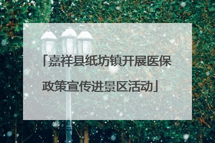 嘉祥县纸坊镇开展医保政策宣传进景区活动