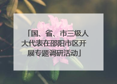 国、省、市三级人大代表在邵阳市区开展专题调研活动