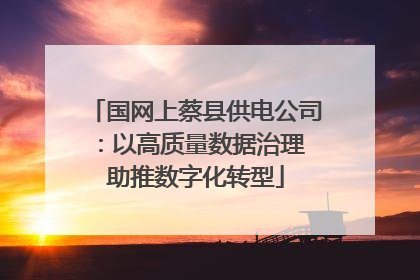国网上蔡县供电公司：以高质量数据治理 助推数字化转型