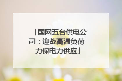 国网五台供电公司：迎战高温负荷 力保电力供应