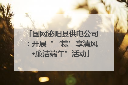 国网泌阳县供电公司：开展“‘粽’享清风 •廉洁端午”活动