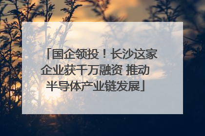 国企领投！长沙这家企业获千万融资 推动半导体产业链发展