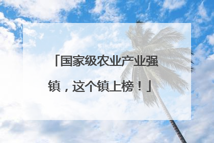 国家级农业产业强镇，这个镇上榜！