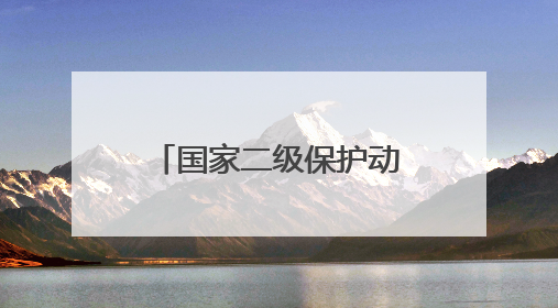 国家二级保护动物，在南昌获救