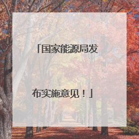 国家能源局发布实施意见！