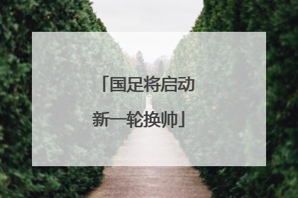 国足将启动新一轮换帅