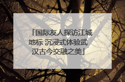 国际友人探访江城地标 沉浸式体验武汉古今交融之美