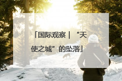 国际观察｜“天使之城”的坠落