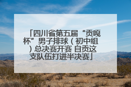 四川省第五届“贡嘎杯”男子排球（初中组）总决赛开赛 自贡这支队伍打进半决赛