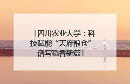四川农业大学：科技赋能“天府粮仓”谱写稻香新篇