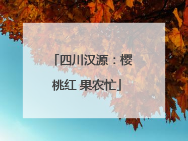 四川汉源：樱桃红 果农忙