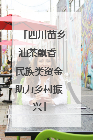 四川苗乡油茶飘香 民族类资金助力乡村振兴