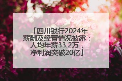 四川银行2024年薪酬及经营情况披露：人均年薪33.2万，净利润突破20亿
