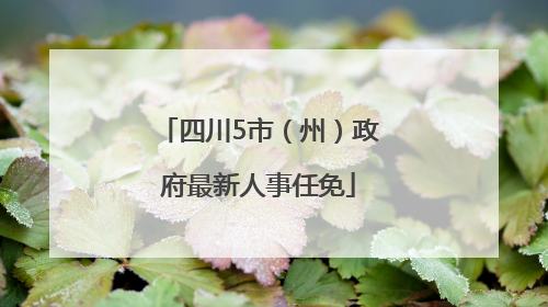 四川5市（州）政府最新人事任免