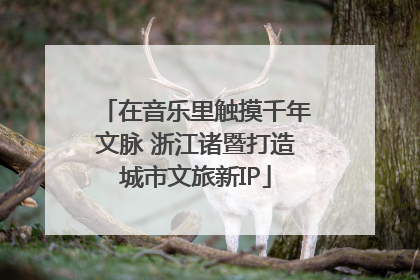 在音乐里触摸千年文脉 浙江诸暨打造城市文旅新IP