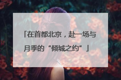 在首都北京，赴一场与月季的“倾城之约”