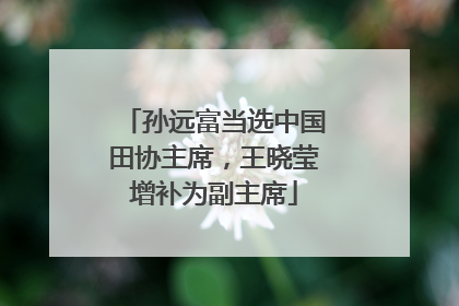 孙远富当选中国田协主席，王晓莹增补为副主席