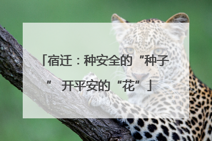 宿迁：种安全的“种子” 开平安的“花”