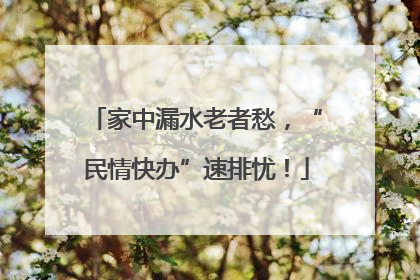 家中漏水老者愁，“民情快办”速排忧！