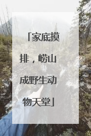 家底摸排，崂山成野生动物天堂