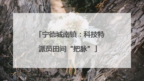 宁德城南镇：科技特派员田间“把脉”