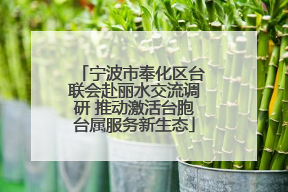 宁波市奉化区台联会赴丽水交流调研 推动激活台胞台属服务新生态