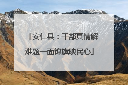 安仁县：干部真情解难题一面锦旗映民心
