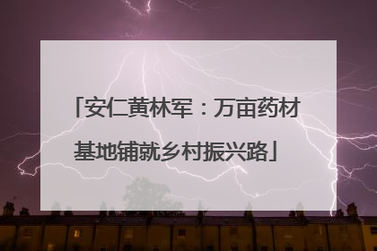 安仁黄林军：万亩药材基地铺就乡村振兴路