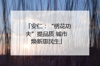 安仁：“绣花功夫”提品质 城市焕新惠民生