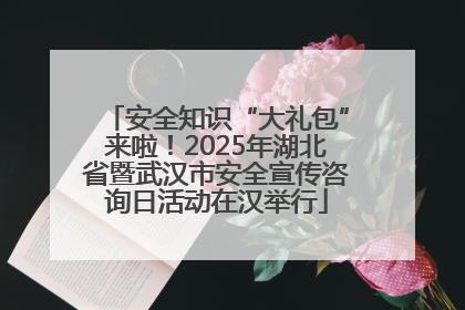 安全知识“大礼包”来啦！2025年湖北省暨武汉市安全宣传咨询日活动在汉举行