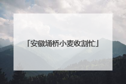 安徽埇桥小麦收割忙