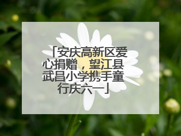 安庆高新区爱心捐赠，望江县武昌小学携手童行庆六一