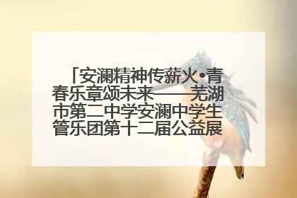 安澜精神传薪火•青春乐章颂未来——芜湖市第二中学安澜中学生管乐团第十二届公益展演圆满举行