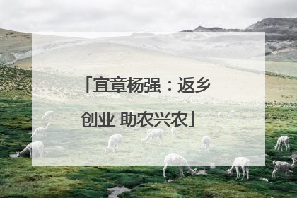 宜章杨强：返乡创业 助农兴农