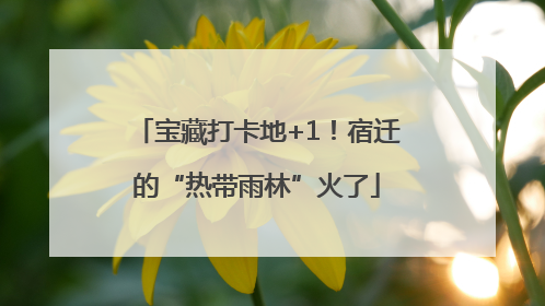 宝藏打卡地+1！宿迁的“热带雨林”火了