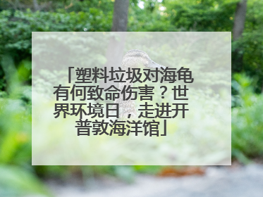 塑料垃圾对海龟有何致命伤害？世界环境日，走进开普敦海洋馆