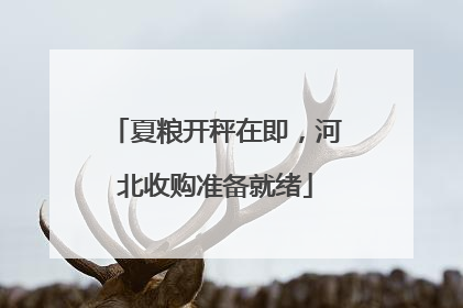 夏粮开秤在即，河北收购准备就绪
