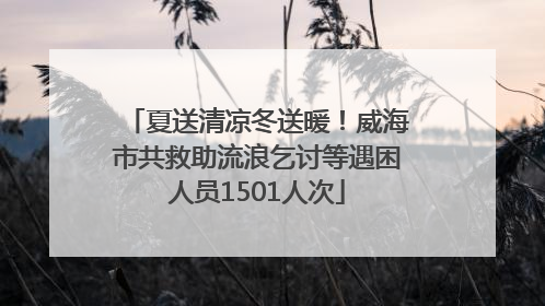 夏送清凉冬送暖！威海市共救助流浪乞讨等遇困人员1501人次