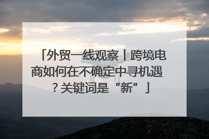 外贸一线观察丨跨境电商如何在不确定中寻机遇？关键词是“新”