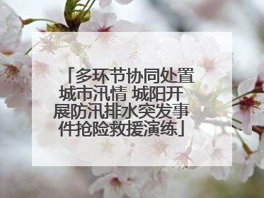 多环节协同处置城市汛情 城阳开展防汛排水突发事件抢险救援演练