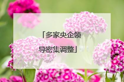 多家央企领导密集调整