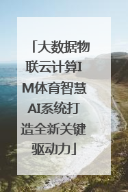 大数据物联云计算IM体育智慧AI系统打造全新关键驱动力