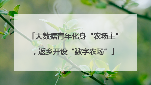 大数据青年化身“农场主”，返乡开设“数字农场”