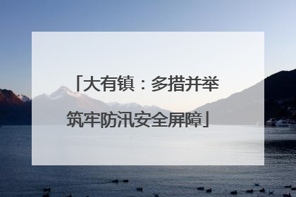 大有镇：多措并举筑牢防汛安全屏障