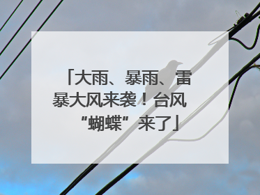 大雨、暴雨、雷暴大风来袭！台风“蝴蝶”来了