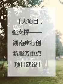 大项目，强支撑——湖南建行创新服务重点项目建设