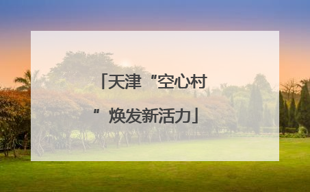 天津“空心村”焕发新活力